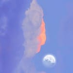 Juana Villaseñor avatar